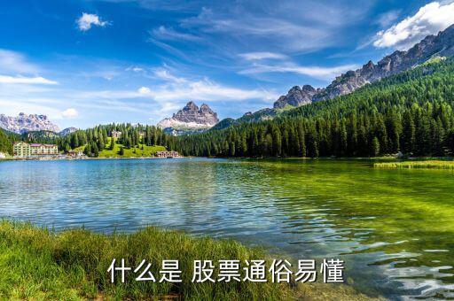 怎么懂股票,股票基礎(chǔ)、股票定投、投資書(shū)籍等資源免費(fèi)下載