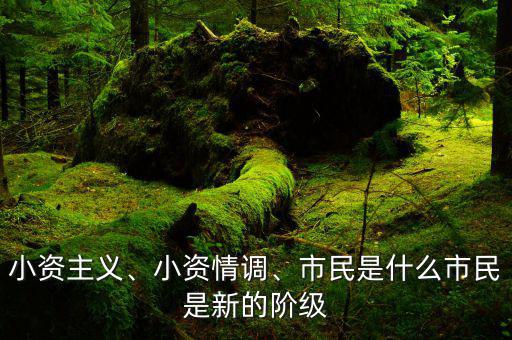 小資主義、小資情調(diào)、市民是什么市民是新的階級