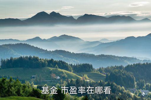 基金市盈率怎么查,投資者可從中證指數查看本地股市市盈率