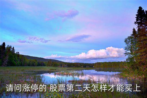 請(qǐng)問(wèn)漲停的 股票第二天怎樣才能買上