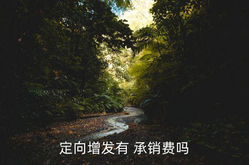 承銷費怎么算,證券發(fā)行人向證券經營機構支付的費用為承銷費