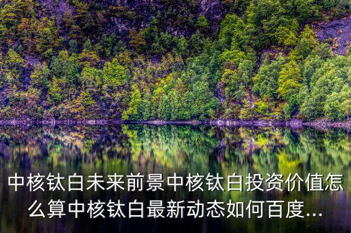中核鈦白未來前景中核鈦白投資價(jià)值怎么算中核鈦白最新動態(tài)如何百度...