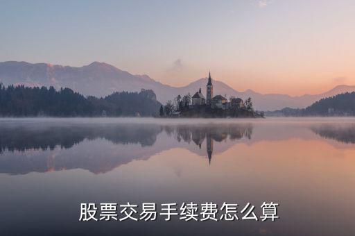 買股票費(fèi)用怎么算,股票交易費(fèi)用包括手續(xù)費(fèi)、過戶費(fèi)和傭金