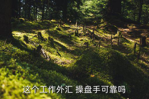這個(gè)工作外匯 操盤(pán)手可靠嗎