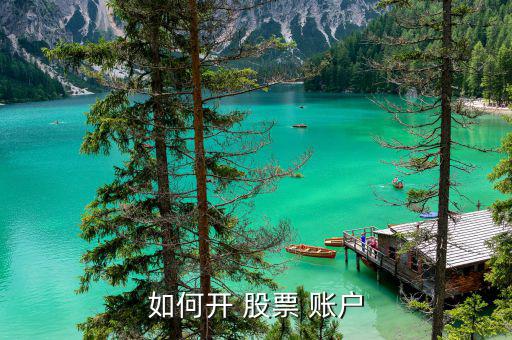 怎么樣開(kāi)股票賬戶(hù),新的個(gè)人a股賬戶(hù)持有人需要攜帶以下資料