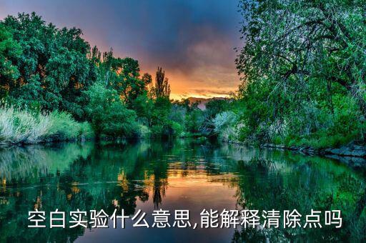  空白實驗什么意思,能解釋清除點(diǎn)嗎