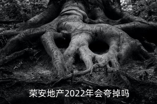 寧波榮安房子怎么樣,中國(guó)房地產(chǎn)開發(fā)企業(yè)百強(qiáng)之一扎根寧波