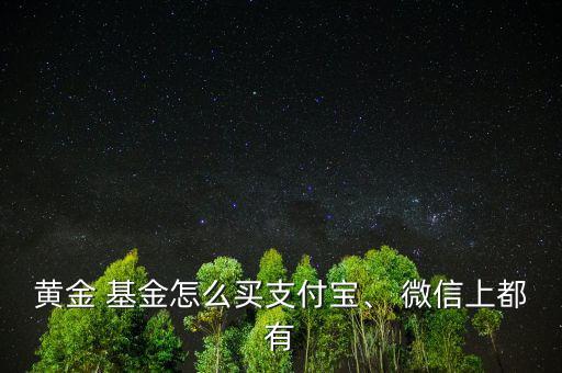 黃金 基金怎么買支付寶、 微信上都有