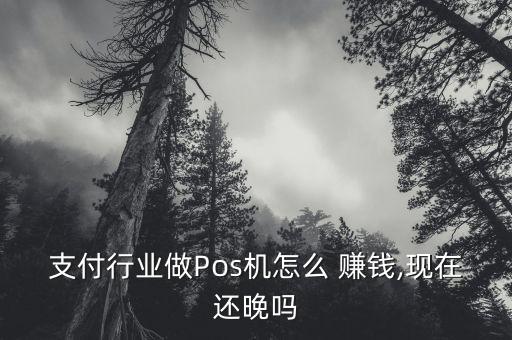 支付行業(yè)做Pos機(jī)怎么 賺錢(qián),現(xiàn)在還晚嗎