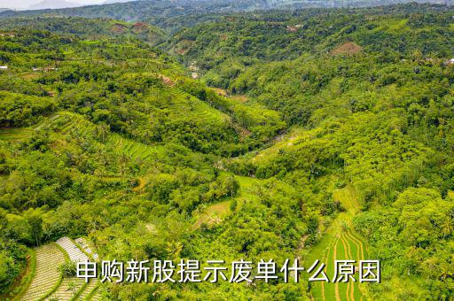新股申購為什么是廢單，定價申購新股為什么總提示是廢單