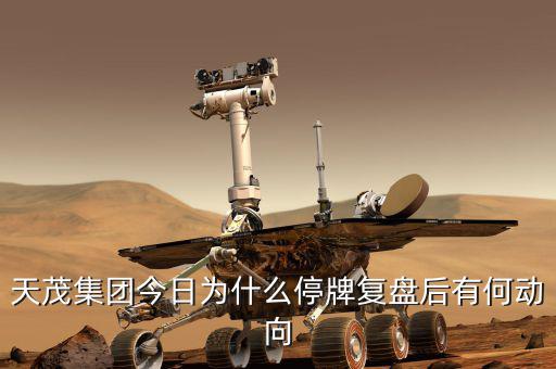 天茂集團什么時候開盤，天茂集團今日為什么停牌復(fù)盤后有何動向
