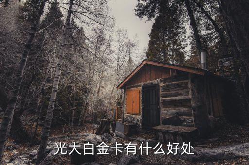 光大微稅聯(lián)白金卡有什么好處，光大銀行白金卡的好處我提供本人的100平以上的房產(chǎn)證和作為法人