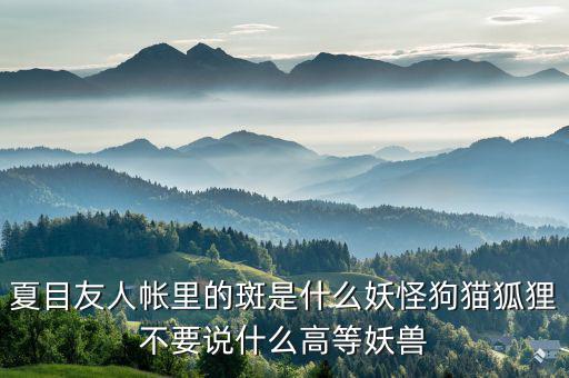 什么是棄風(fēng)限電，什么是理想非極化電極