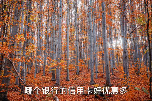 2016什么信用卡羊毛多，哪個銀行的信用卡好優(yōu)惠多