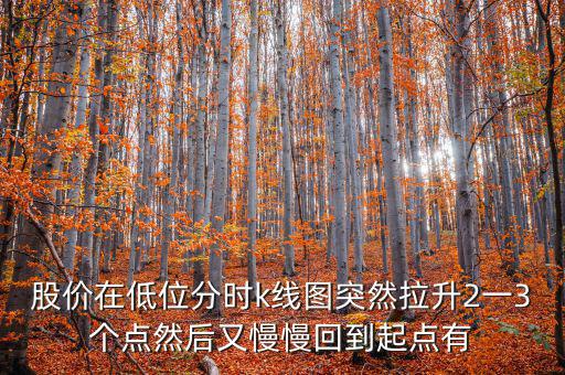 低位反彈之后加速拉升什么情況，股價在低位分時k線圖突然拉升2一3個點然后又慢慢回到起點有