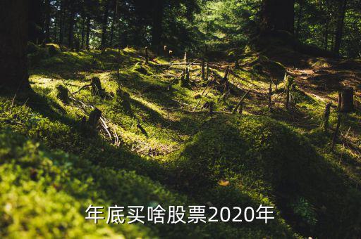 年底買什么股票好，年底到年初這段時間炒什么類型的股票好