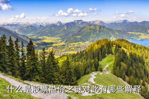 股票溢價(jià)是什么意思，什么是股票溢價(jià)之謎對(duì)此有哪些解釋