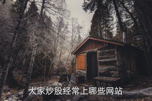 看股票都上什么網(wǎng)站，請問常用的網(wǎng)上交易股票的網(wǎng)站有那些