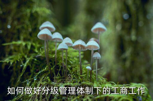 什么是分層分級(jí)管理，如何做好分級(jí)管理體制下的工商工作