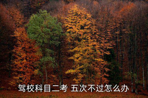 駕?？颇慷?五次不過(guò)怎么辦