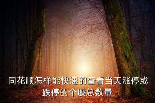  同花順怎樣能快速的查看當天漲停或跌停的個股總數(shù)量