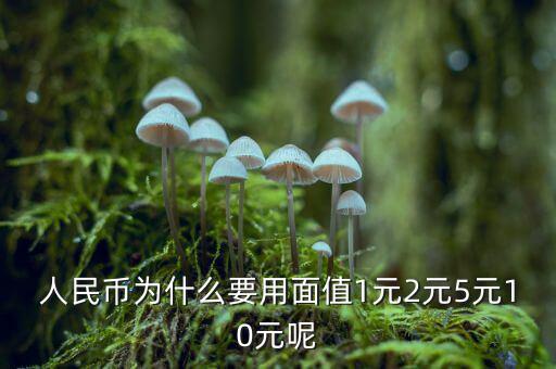 為什么人民幣面值，人民幣為什么要用面值1元2元5元10元呢
