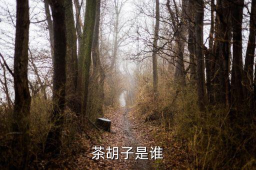 文惠卡是什么，是什么意思能詳細(xì)點(diǎn)嗎