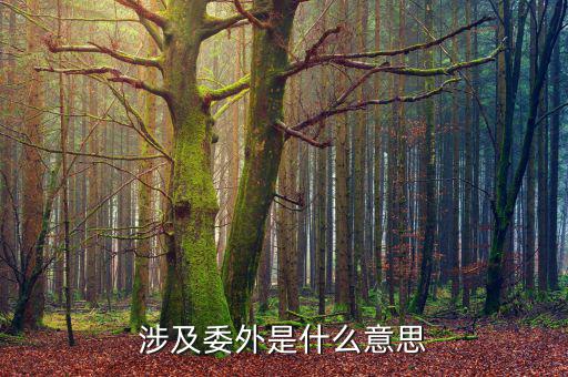 委外業(yè)務(wù)是什么意思，委外加工采購是什么意思