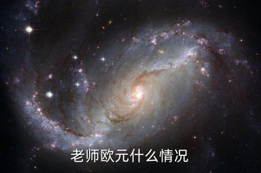 歐元國家是什么意思，老師歐元什么情況