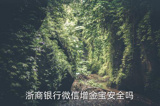 浙商銀行增金寶什么情況，浙商銀行增金寶安全嗎