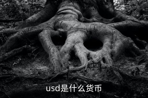 usd什么貨幣，什么是USD