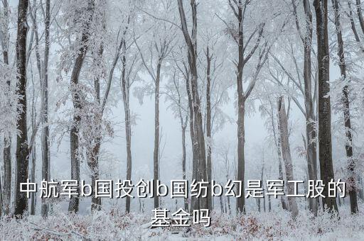國創(chuàng)投b是什么基金，請教創(chuàng)業(yè)b是私募基金嗎屬于清盤對象嗎
