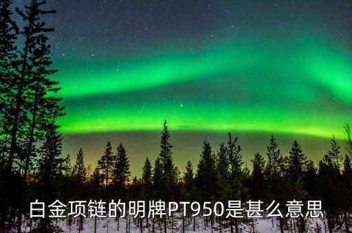 明牌pt950是什么意思，明牌鉆戒PT950DO168ct是什么意思