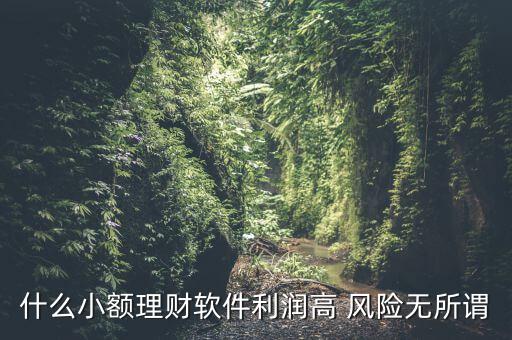 什么小額理財(cái)最安全，什么小額理財(cái)軟件利潤(rùn)高 風(fēng)險(xiǎn)無所謂