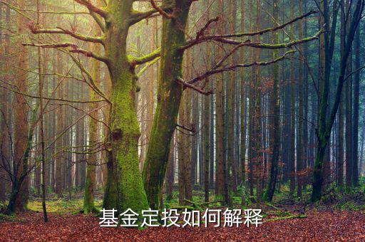 定投是什么，什么是定投基金