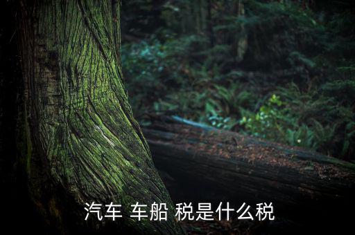 汽車(chē)車(chē)船稅是怎么樣,車(chē)船稅是對(duì)車(chē)輛、船舶征收的稅