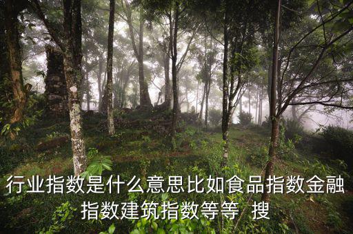 申萬行業(yè)指數(shù)是什么，申萬證券行業(yè)指數(shù)分級是什么指數(shù)基金嗎