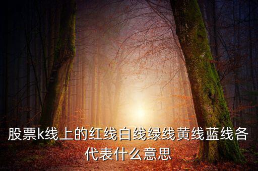 地圖綠線紅線代表什么，手機(jī)百度地圖路線中有紅色綠色藍(lán)色等不同的顏色代表什么