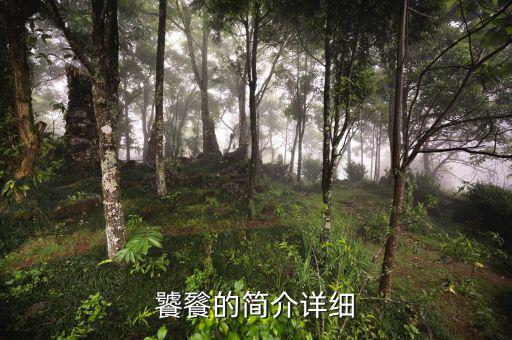 饕餮的簡介詳細