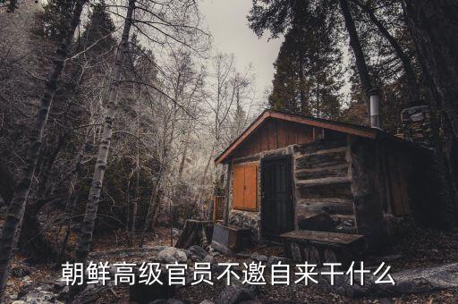 朝鮮領(lǐng)導(dǎo)人為什么不出訪，朝鮮高級官員不邀自來干什么
