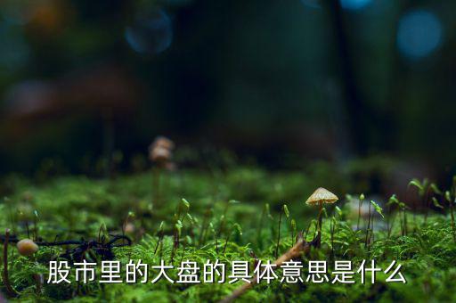 股票中大盤是什么意思，股市里的大盤的具體意思是什么