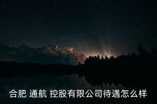 通航控股怎么樣,幸?？毓墒侵袊娇展I(yè)集團(tuán)公司子公司