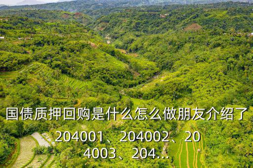 國債質押回購是什么怎么做朋友介紹了 204001、204002、204003、204...