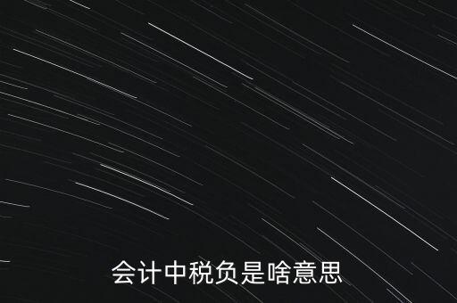 稅負是什么意思，會計中稅負是啥意思