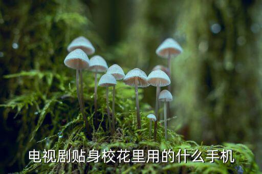 電視劇貼身?；ɡ镉玫氖裁词謾C(jī)
