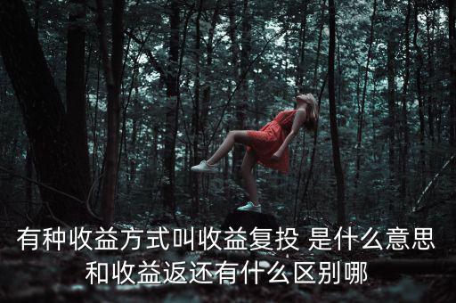 按月復(fù)投是什么意思，本息復(fù)投是什么意思
