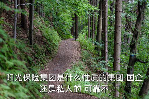 陽光保險(xiǎn)集團(tuán)是什么性質(zhì)的集團(tuán) 國(guó)企還是私人的 可靠不