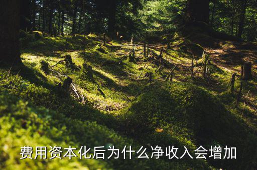 為什么資本化會使roa增加，法定存款準(zhǔn)備金率的提高對ROA的影響謝謝啦