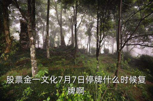 金一文化什么時(shí)候復(fù)牌，股票金一文化7月7日停牌什么時(shí)候復(fù)牌啊