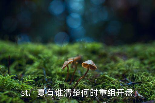st廣夏有誰(shuí)清楚何時(shí)重組開盤